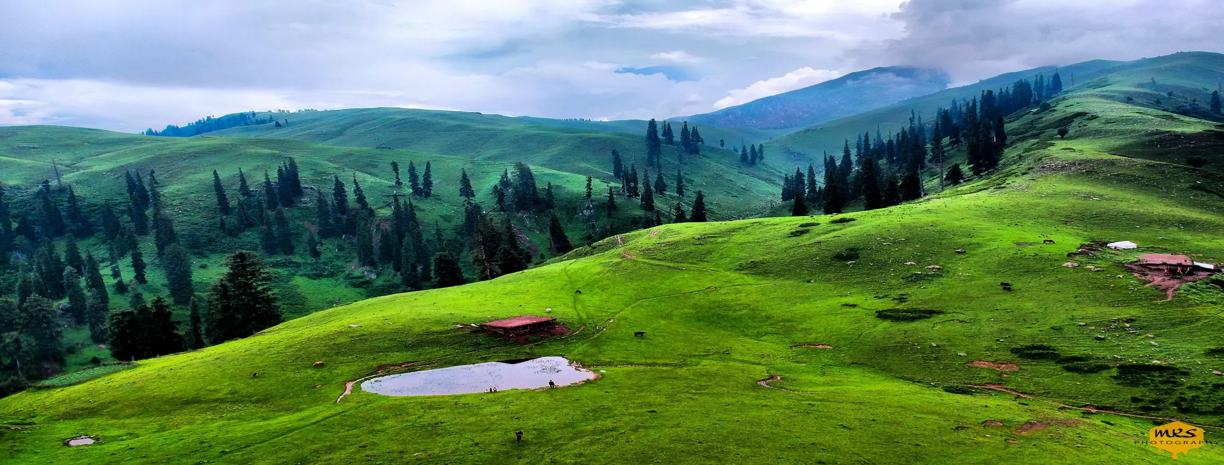 Image for Nature Retreat